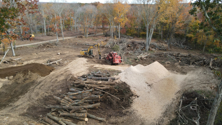 Turning Trees into Financial Opportunity